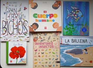 Lote de libros infantiles. 