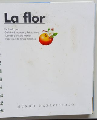 Lote de libros infantiles. 