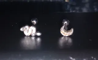 Lote de Piercings Silver Luna , Serpiente,flor...