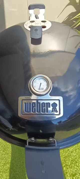 Barbacoa Weber Master-Touch GBS Premium