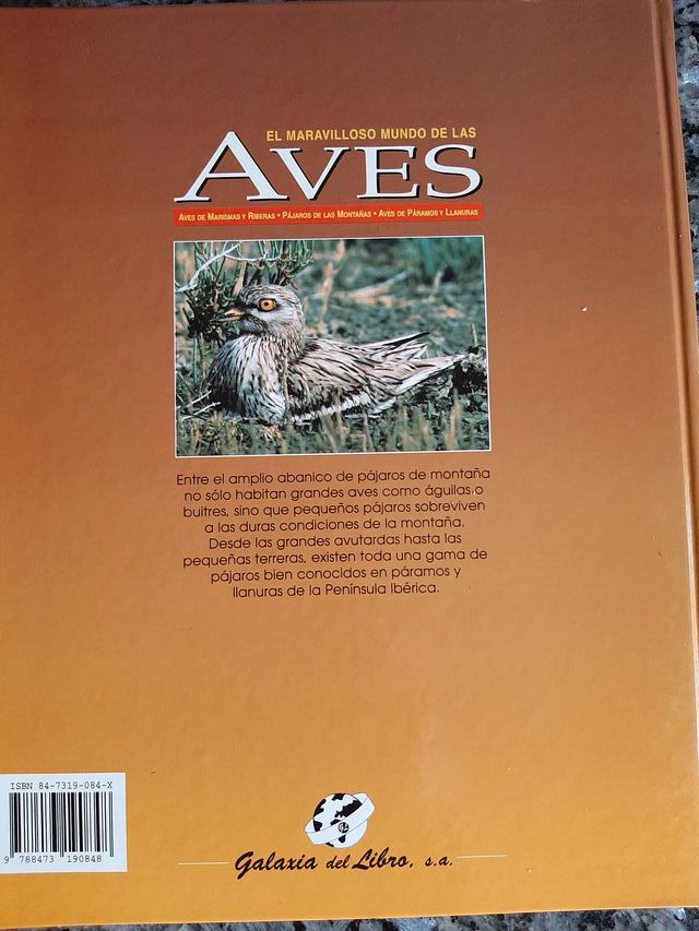 El maravilloso mundo de las aves
de la peninsula