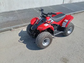 Suzuki LT 50 Infantil
