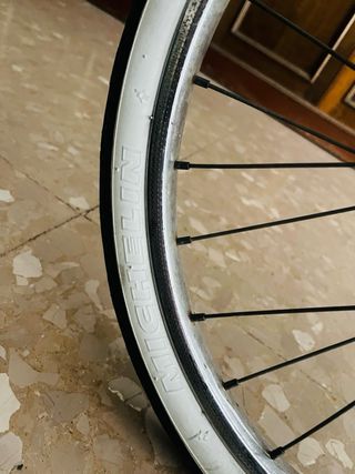 Bicicleta Plegable Vintage GAC