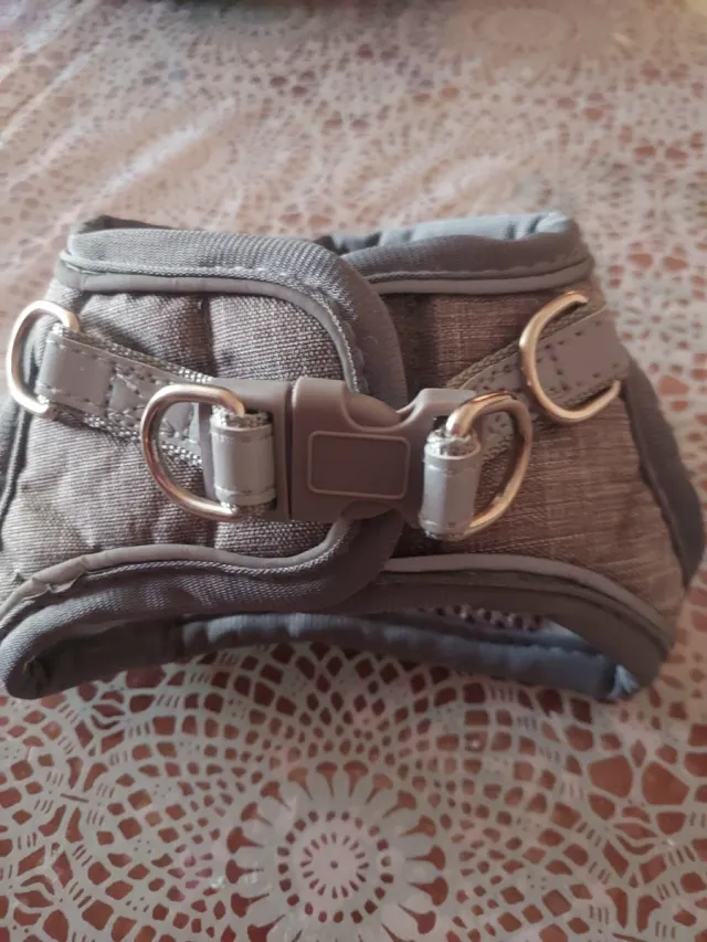 Arnés para perro pequeño súper seguro