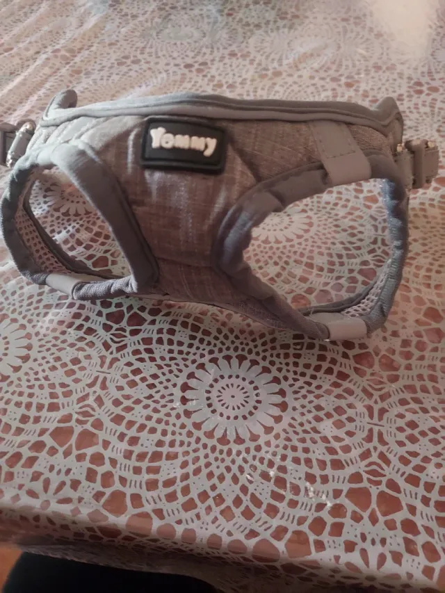 Arnés para perro pequeño súper seguro