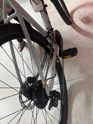 Bicicleta de Montaña Giant Gris
