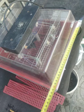 Incubadora de huevos