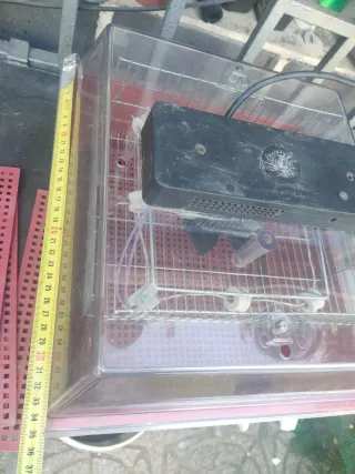 Incubadora de huevos