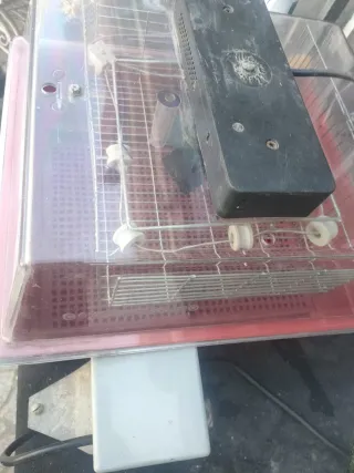 Incubadora de huevos