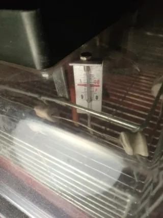 Incubadora de huevos