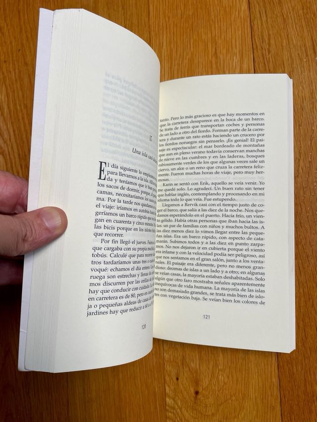 Donde aprenden a volar las gaviotas