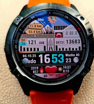 Garmin Fenix 6 X PRO