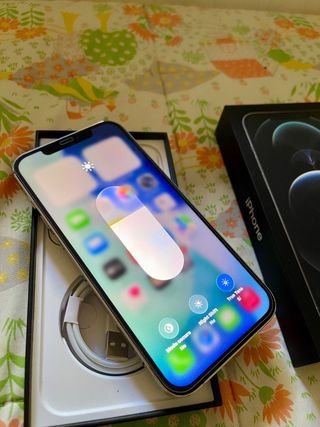 iPhone 12 Pro Max 256gb 