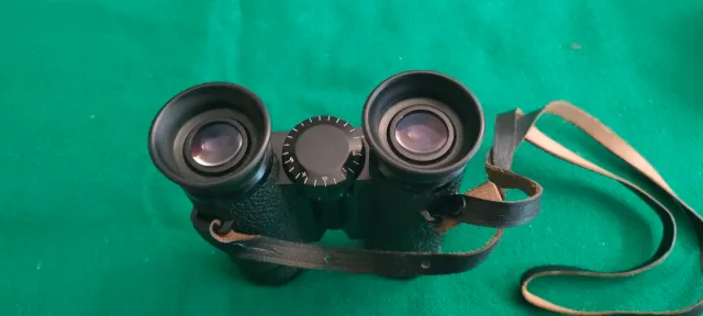 Binocolo Carl Zeiss Dialyt 8x30B