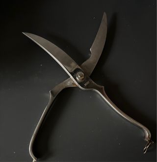 Trinciapollo forbici Vicom