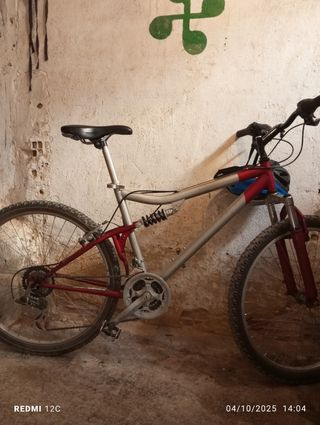 Bicicletas infantiles y adulto