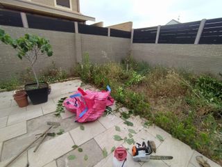 Jardinería, limpieza de parcelas económico