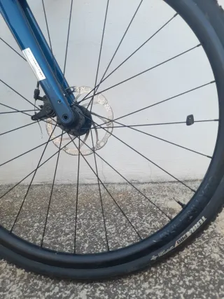 Bici Trek Domane AL 2 Disc Azul