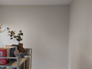 Pintura de viviendas y locales Guadalajara