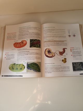 Biología y Geología 4º ESO. Libro del estudiant...