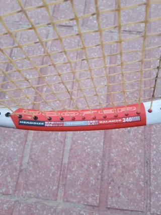 Raqueta Babolat NS Tour