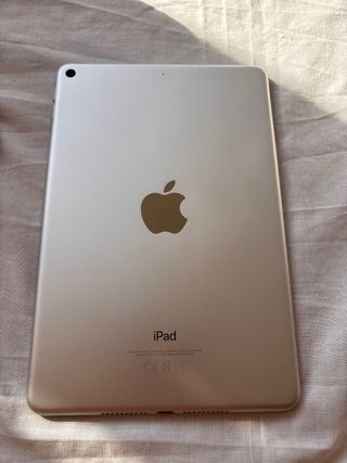 Apple iPad mini 5 Gris Espacial