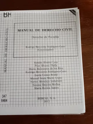 Manual de Derecho Civil - Familia