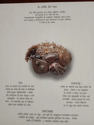 Libro La Orilla del Mar - Visual Altea