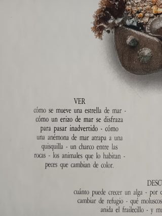 Libro La Orilla del Mar - Visual Altea