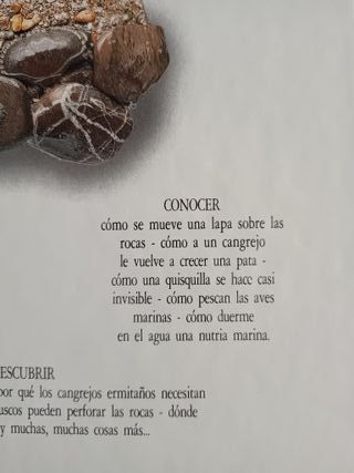 Libro La Orilla del Mar - Visual Altea