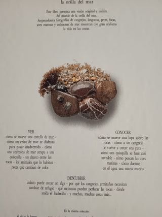 Libro La Orilla del Mar - Visual Altea