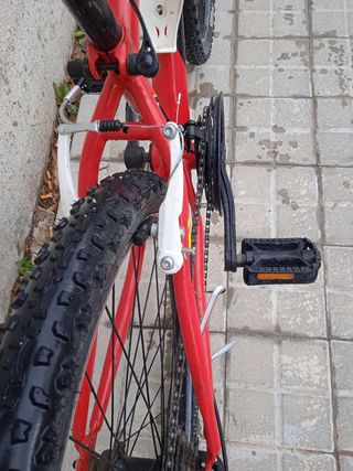 Bicicleta MTB Niñ@ Suspensión Delantera 21 Vel