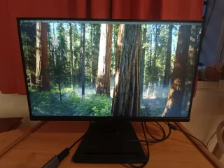 Monitor MSI Negro