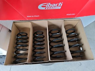 Muelles Eibach Pro-Kit