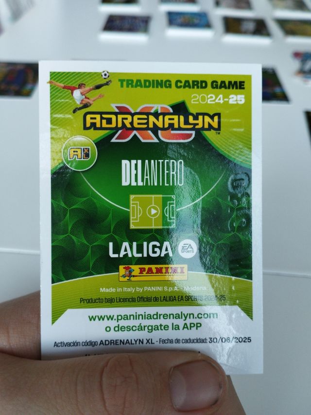 Panini Balón de Oro Raphinha 24-25