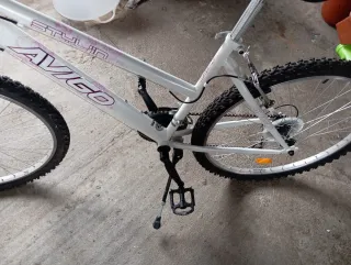 Bicicleta de montaña Avigo