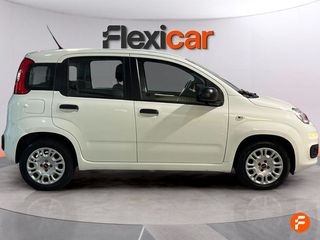 Fiat Panda City Life Hybrid 1.0 Gse 51kw (70CV)