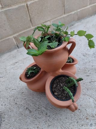 Maceta barro con plantas