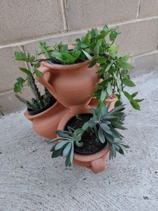 Maceta de barro con plantas