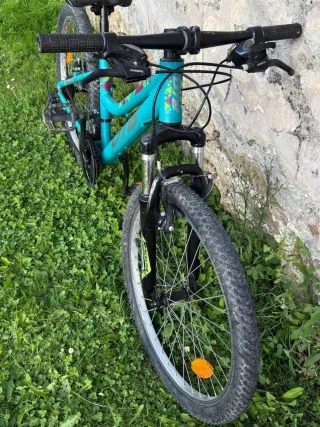 Bicicleta Infantil DTB 24 pulgadas