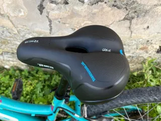 Bicicleta Infantil DTB 24 pulgadas