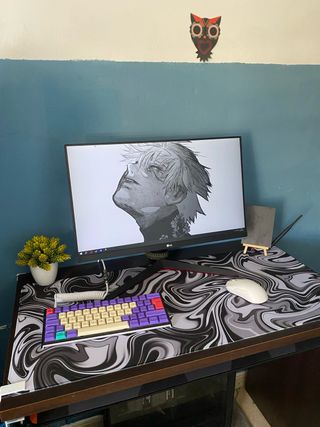 set up completo