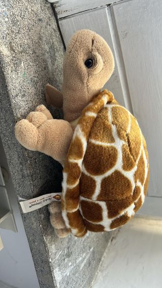 Peluche Tartaruga Plush & Company