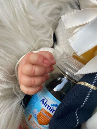 Bebé Reborn Realista Pintado a Mano