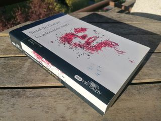 Libro Sissel-Jo Gazan la golondrina negra