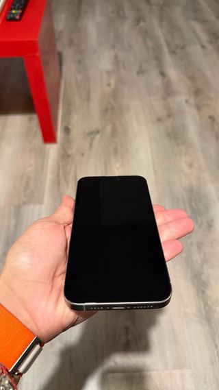 iPhone 15 Pro Max 256GB Gris Espacial