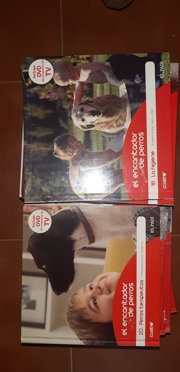 Colección El Encantador de Perros DVD