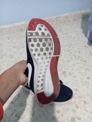 Zapatillas Nike Azul y Rojo