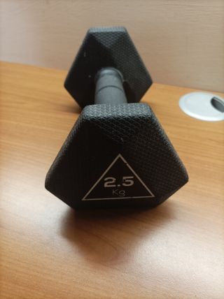 Manubrio 2.5 Kg Palestra