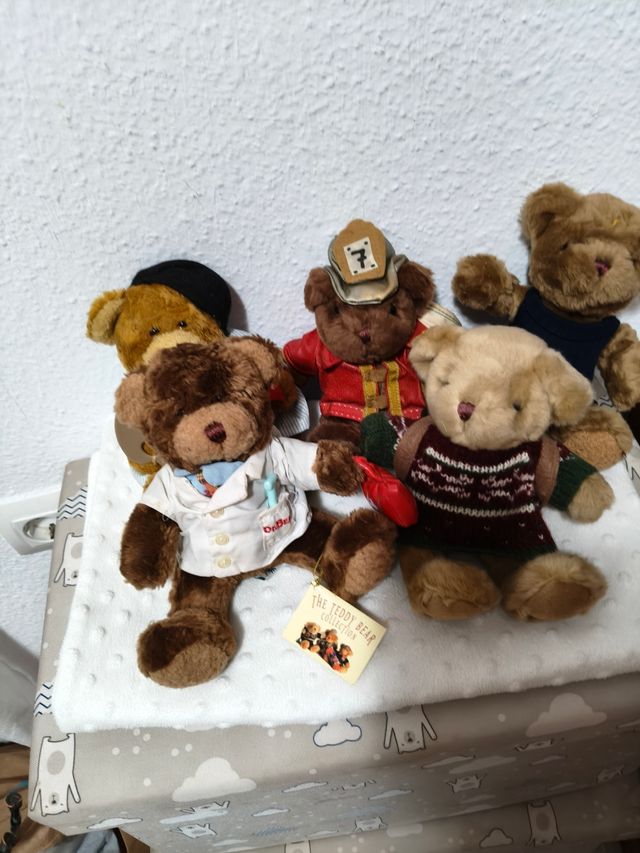 Colección 5 Ositos The Teddy Bear